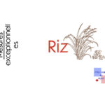 texte : riz
