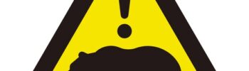 Panneau de signalisation triangulaire jaune avec un ours et un point d'exclamation